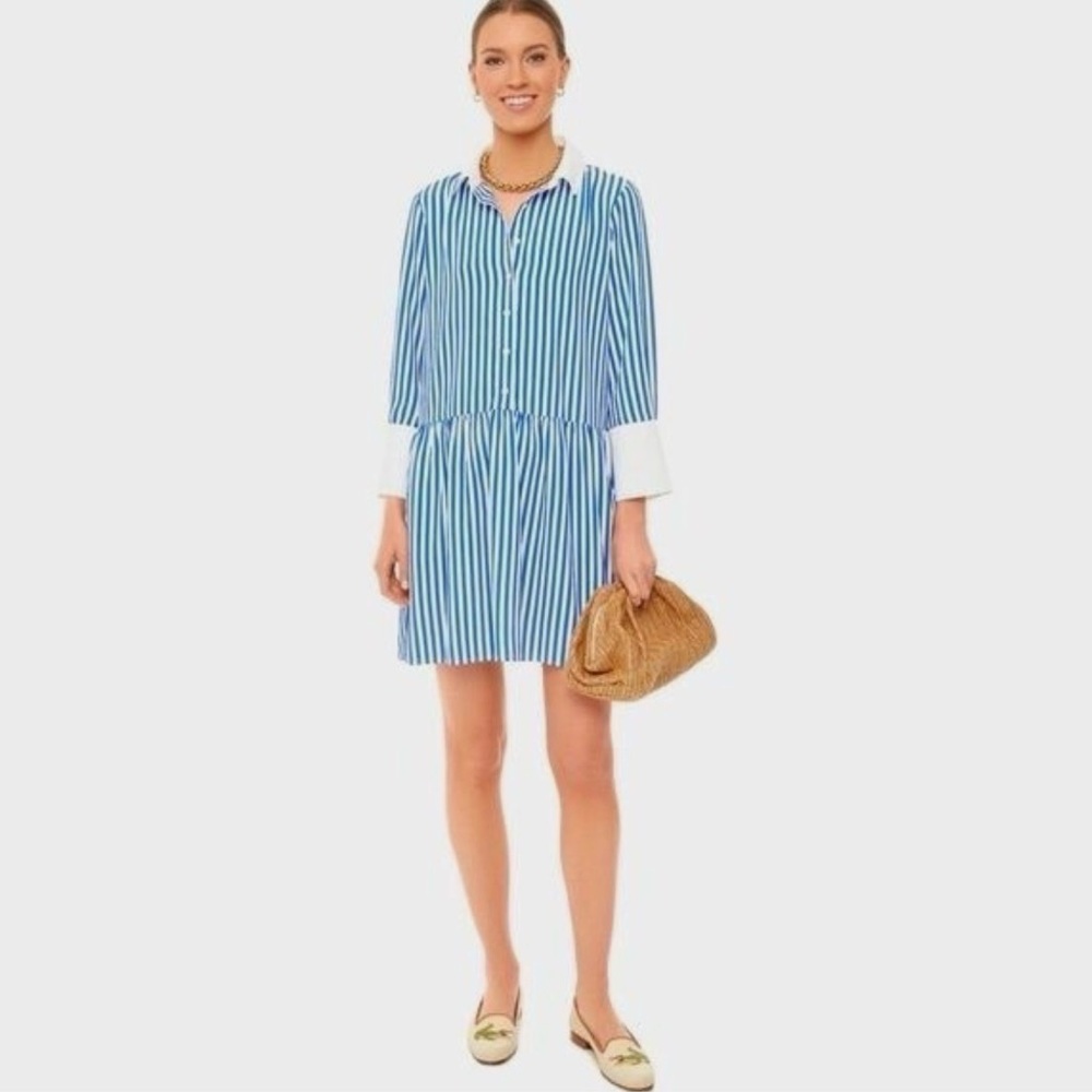 Tuckernuck Hayes dress, like new preppy Blue & White Striped
